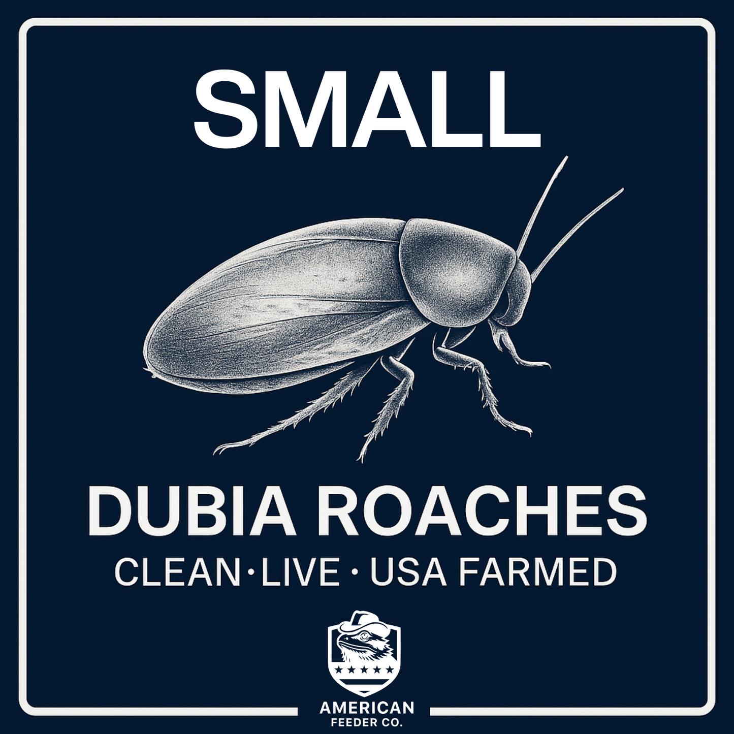 Dubia Roaches