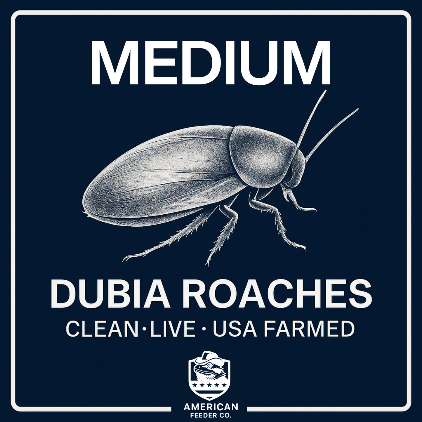 Dubia Roaches