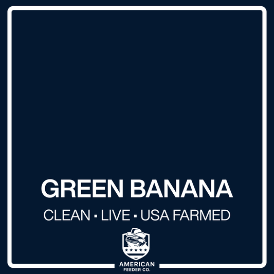 Green Banana Roaches