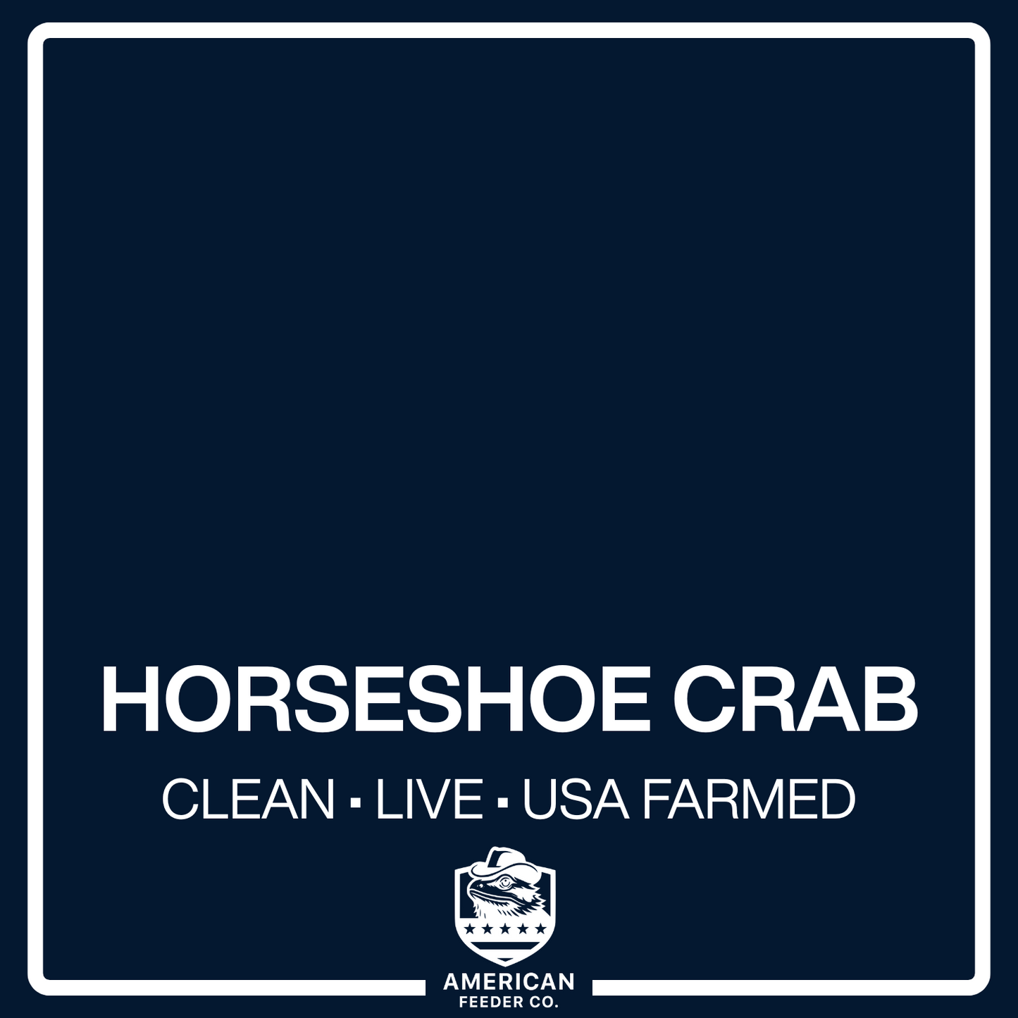 Horseshoe Crab Roaches
