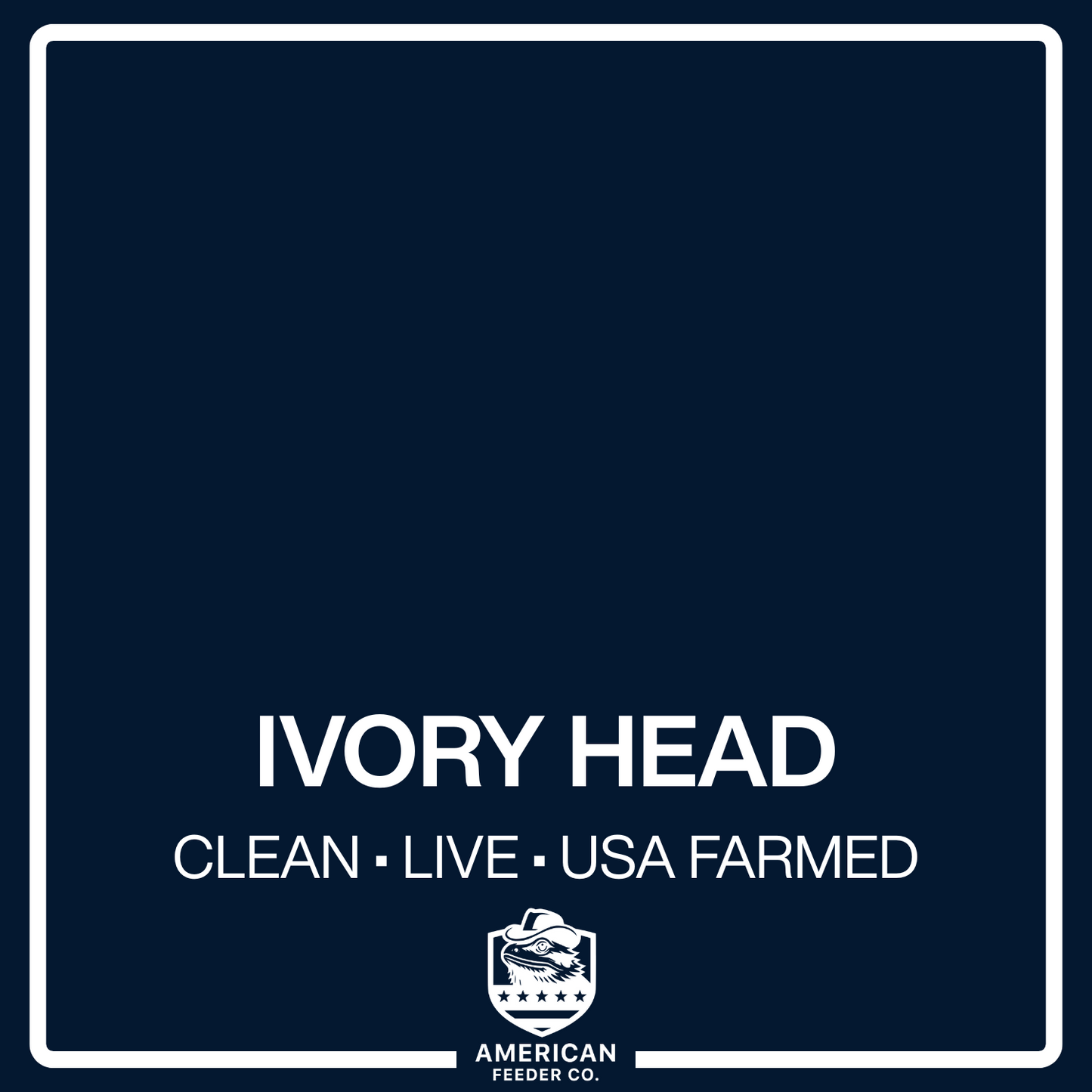 Ivory Head Roaches