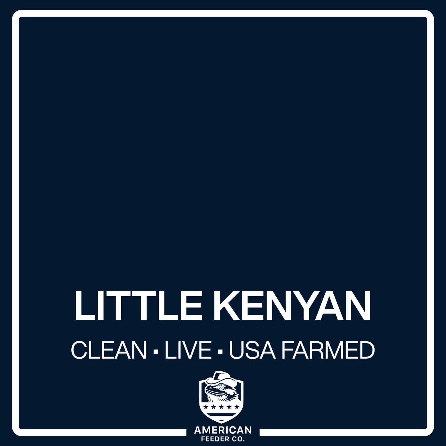 Little Kenyan Roaches