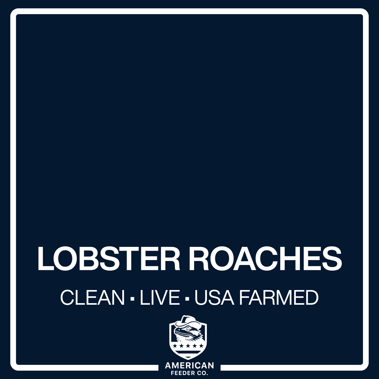 Lobster Roaches