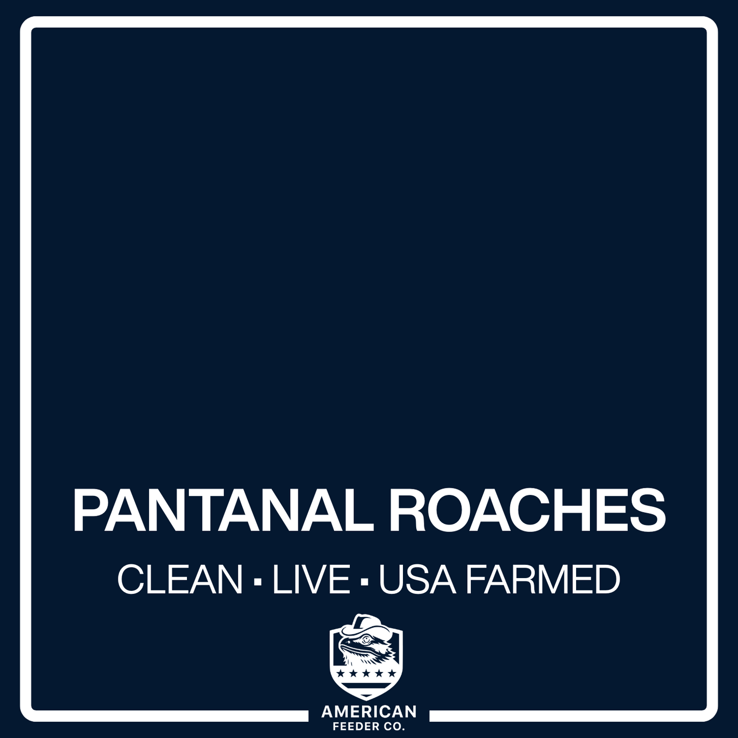 Pantanal Roaches