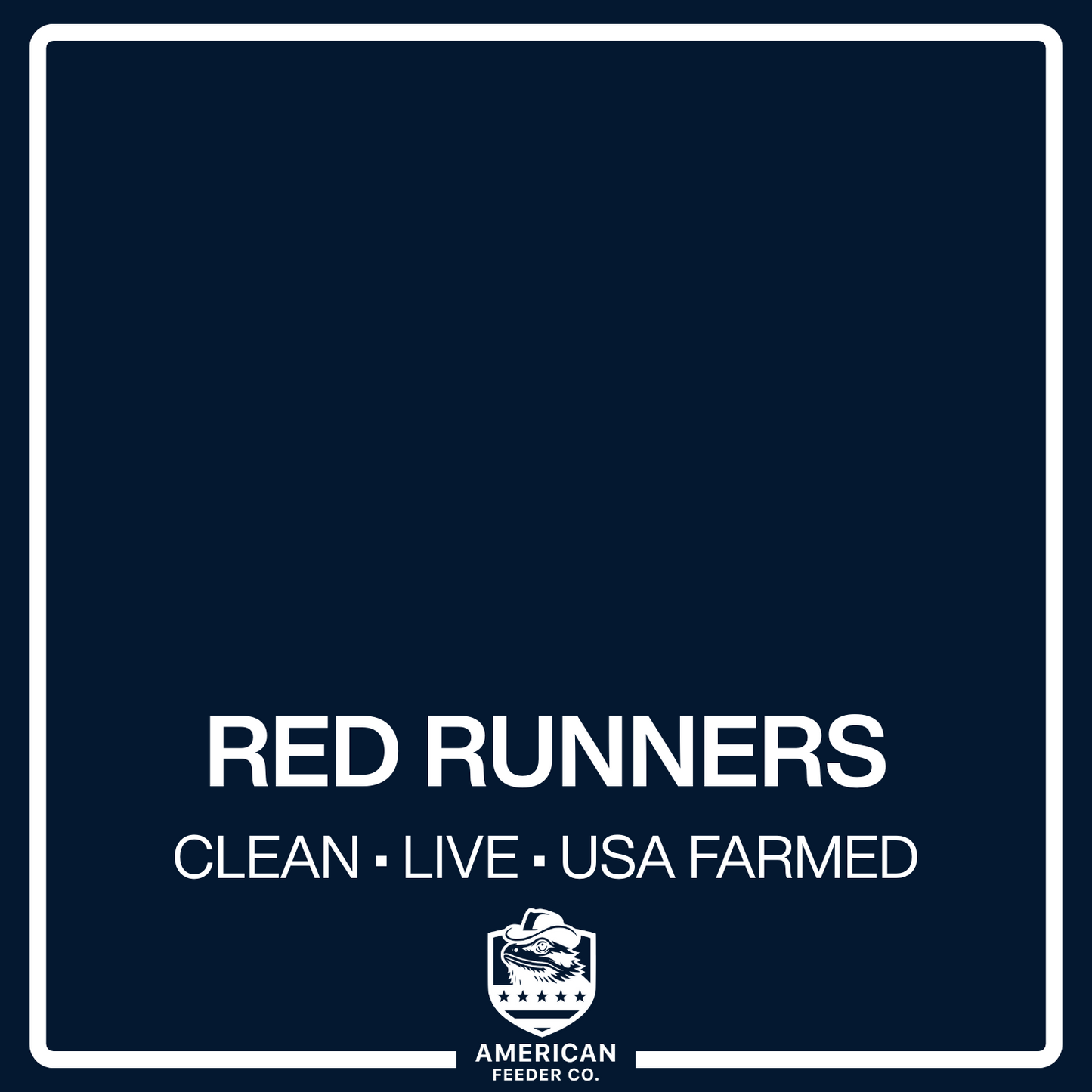 Red Runner Roaches