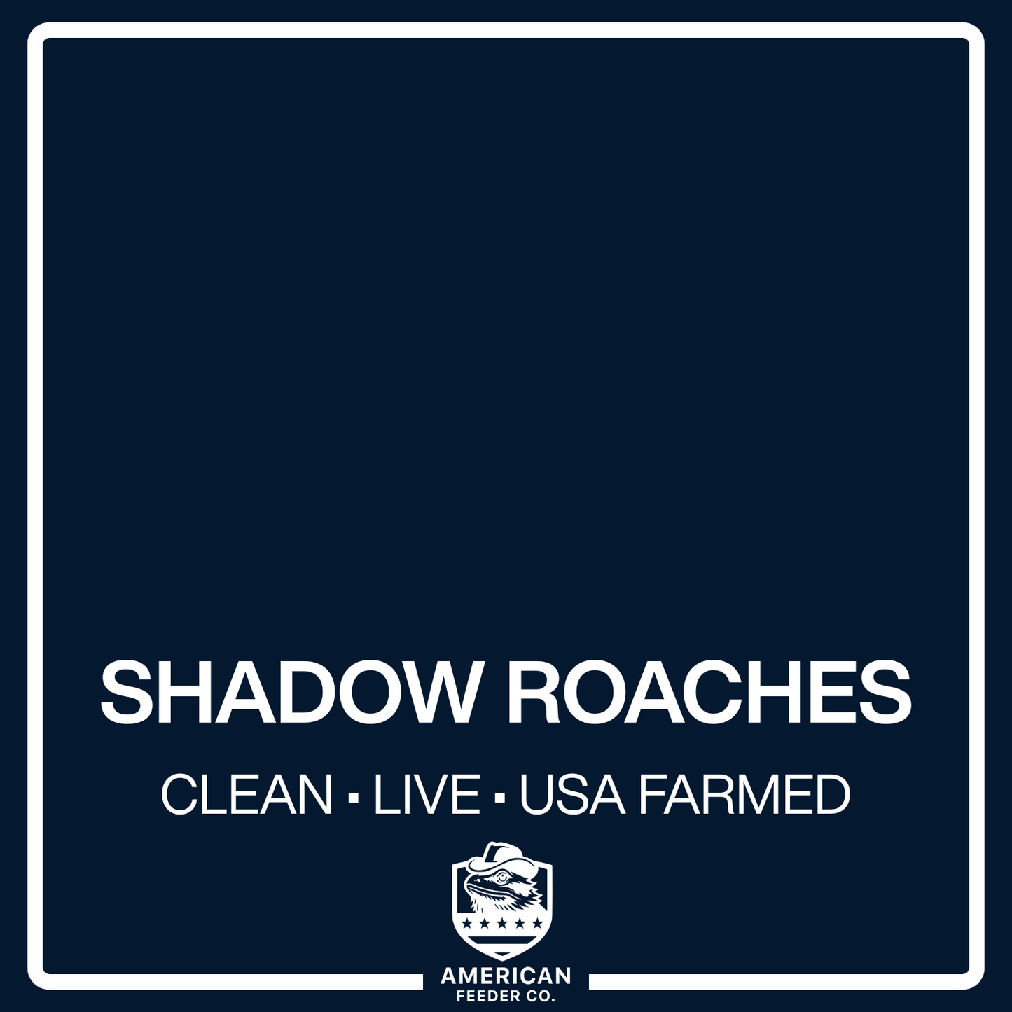 Shadow Roaches