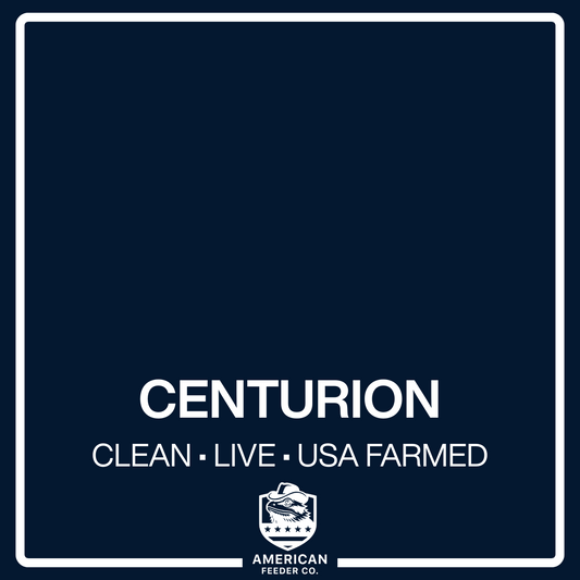 Centurion Roaches
