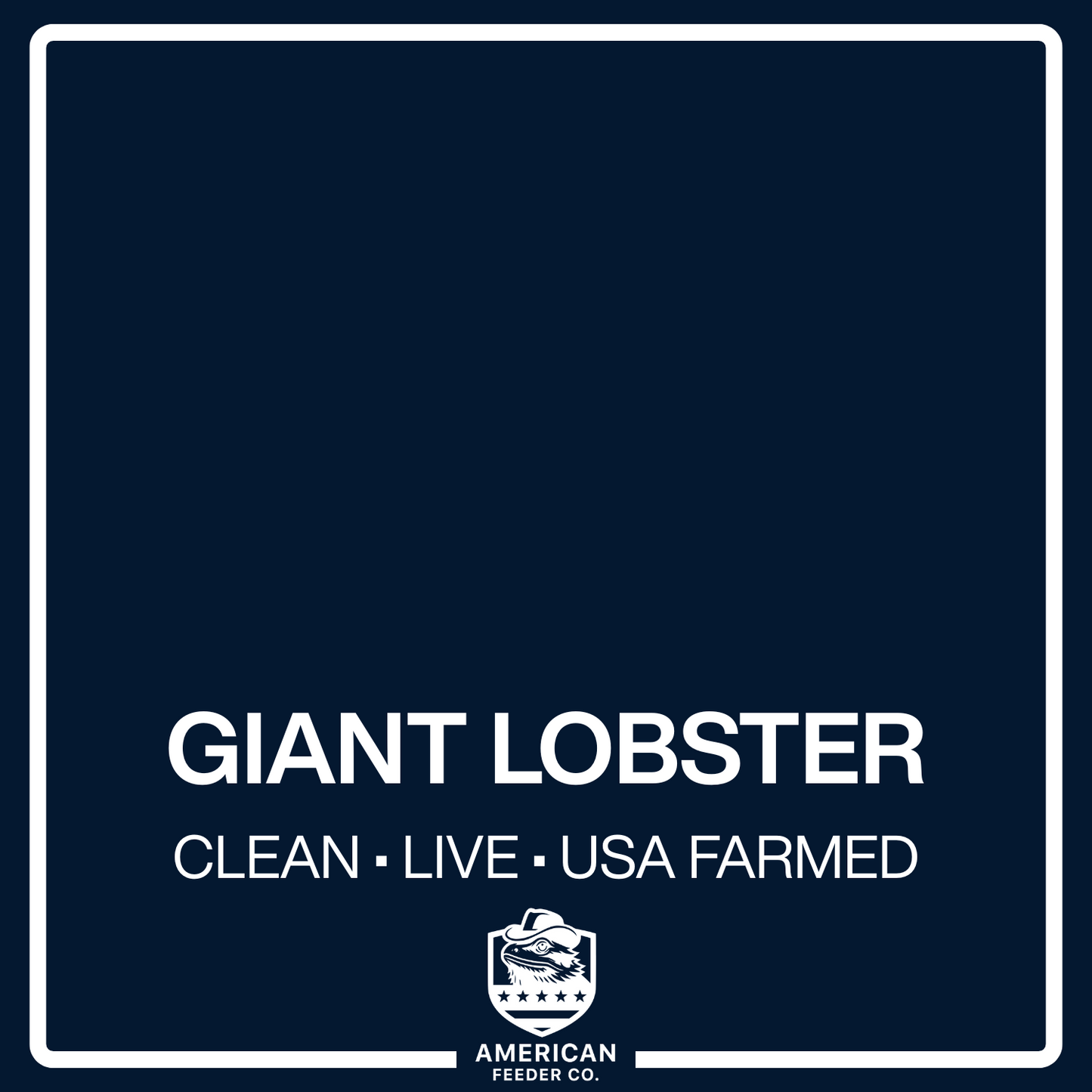 Giant Lobster Roaches