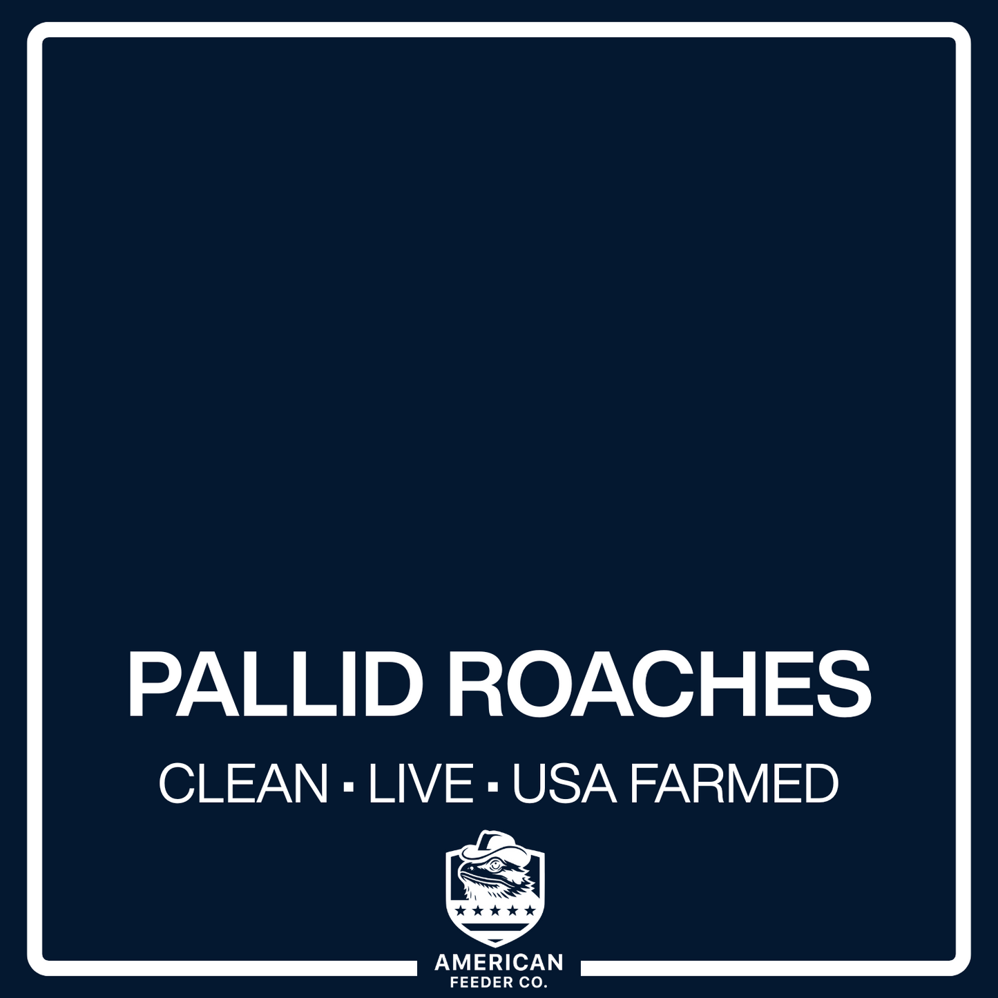 Pallid Roaches