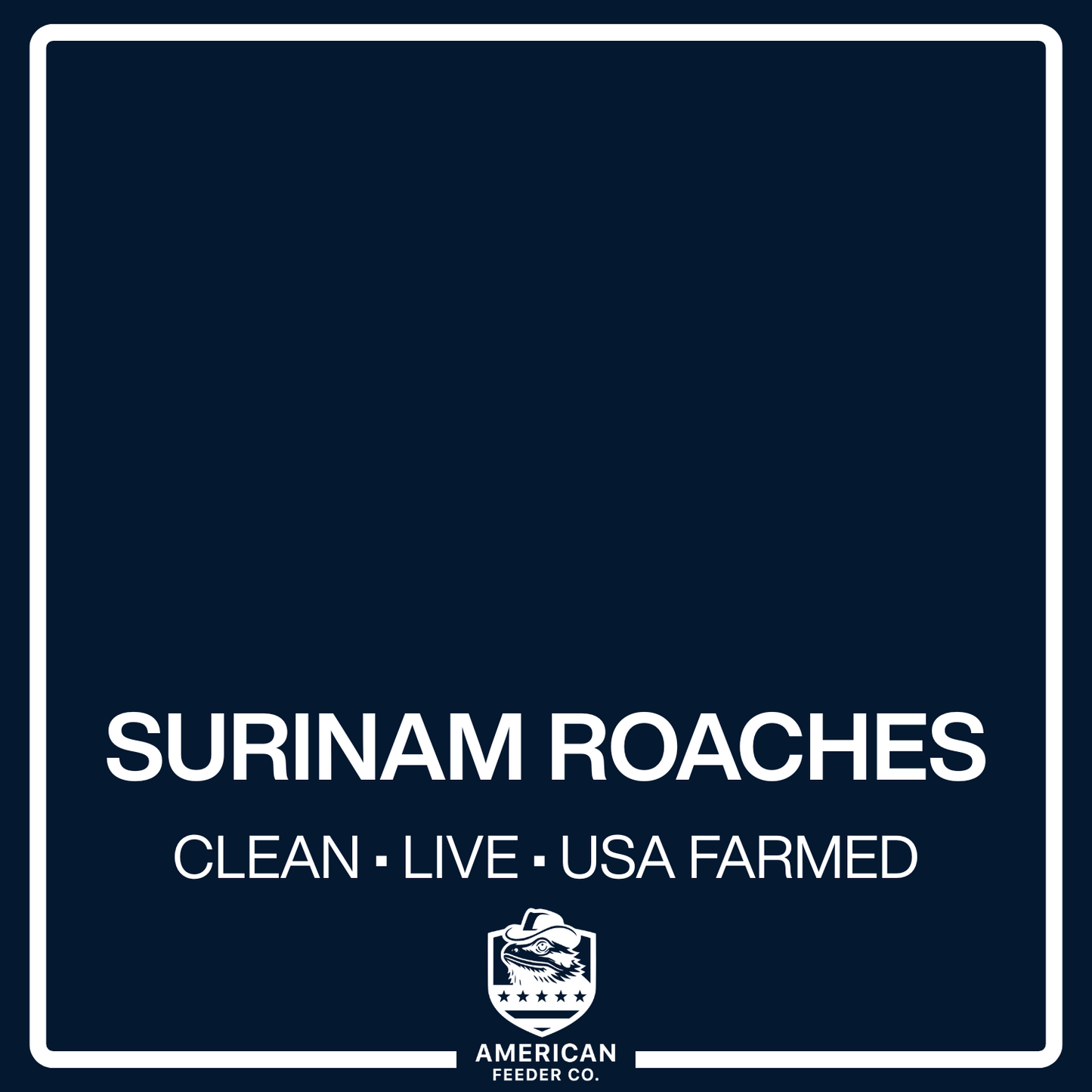 Surinam Roaches